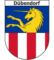 Türschloss Reparaturen in Dübendorf